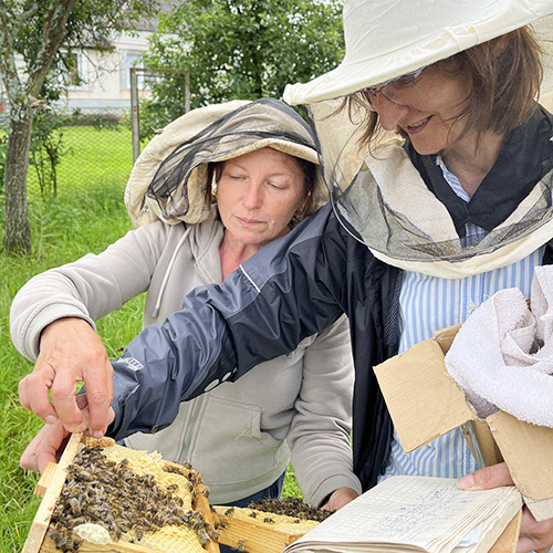 Tanya Richardson handling honeybees