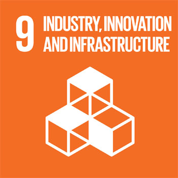 Sustainable Development Goal 9 Industry, Innovation and Infrastructure icon