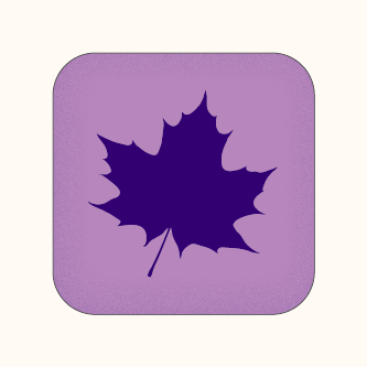 Purple maple leaf