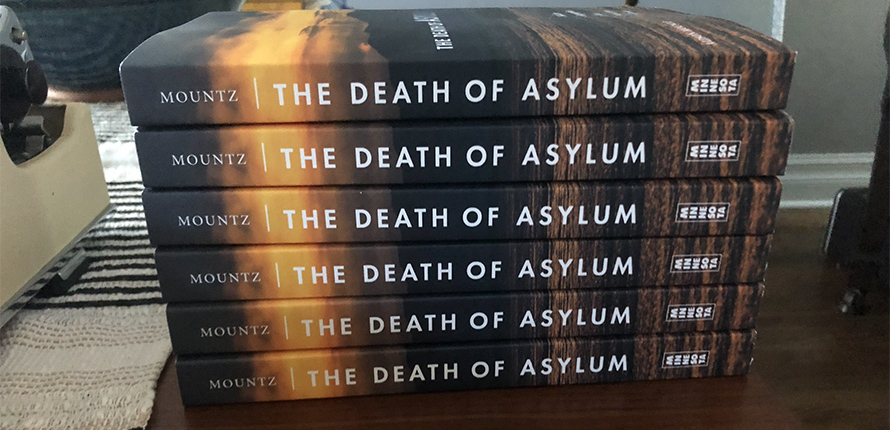 A pile of Death of Asylum books