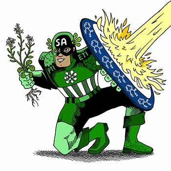 Illustration of superhero holding plant
